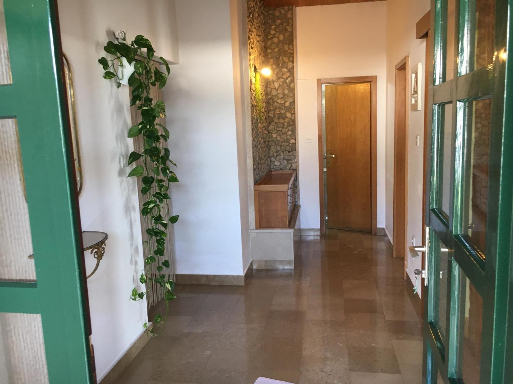 Apartments Leut Драшнице Экстерьер фото