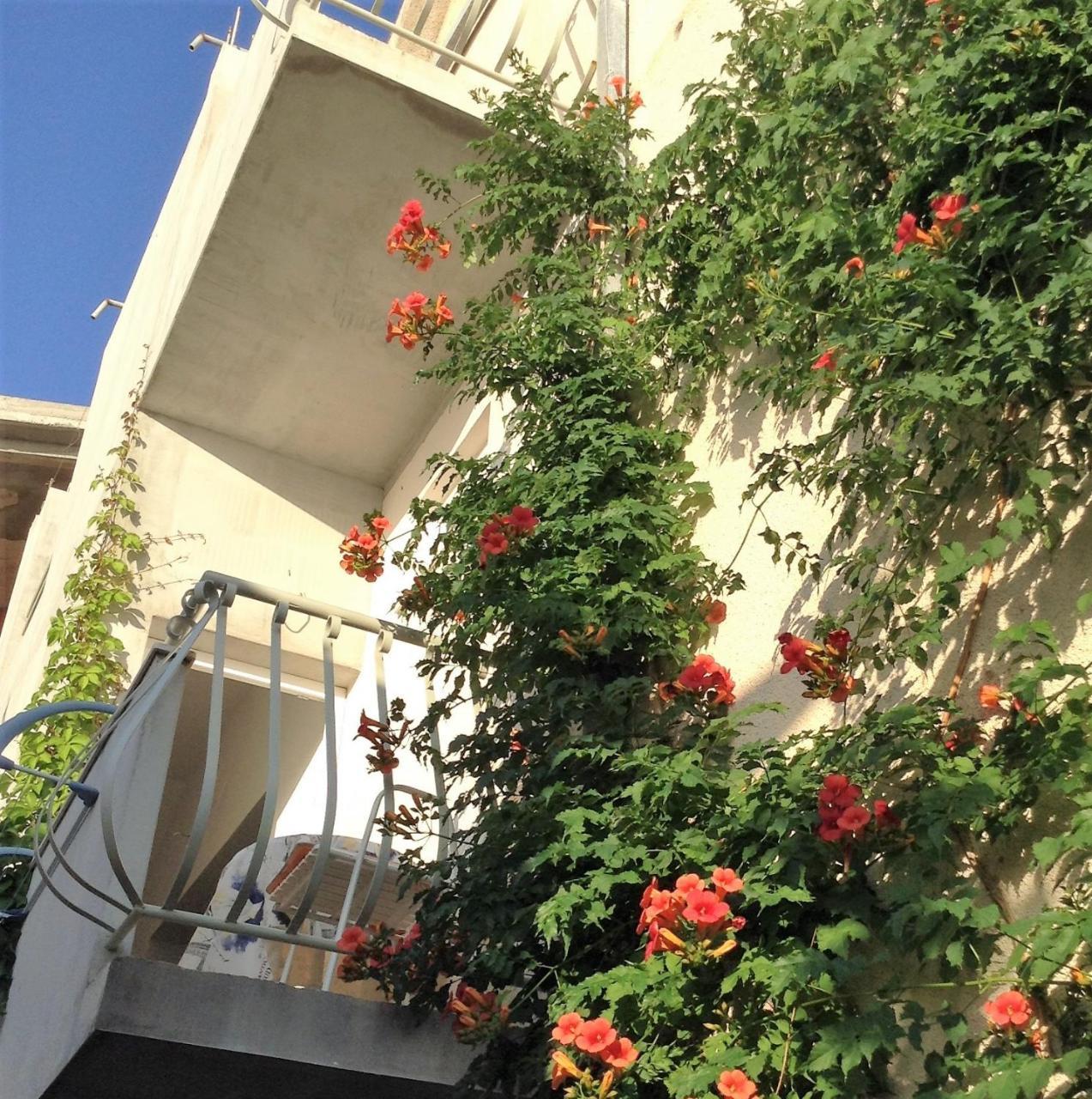 Apartments Leut Драшнице Номер фото